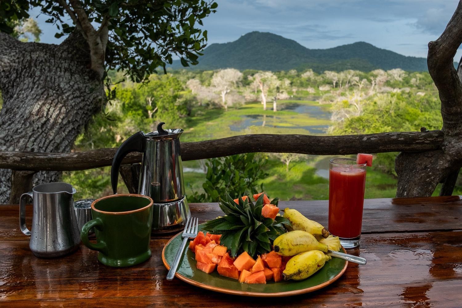 Kulu Safaris Hotell Yala Exteriör bild