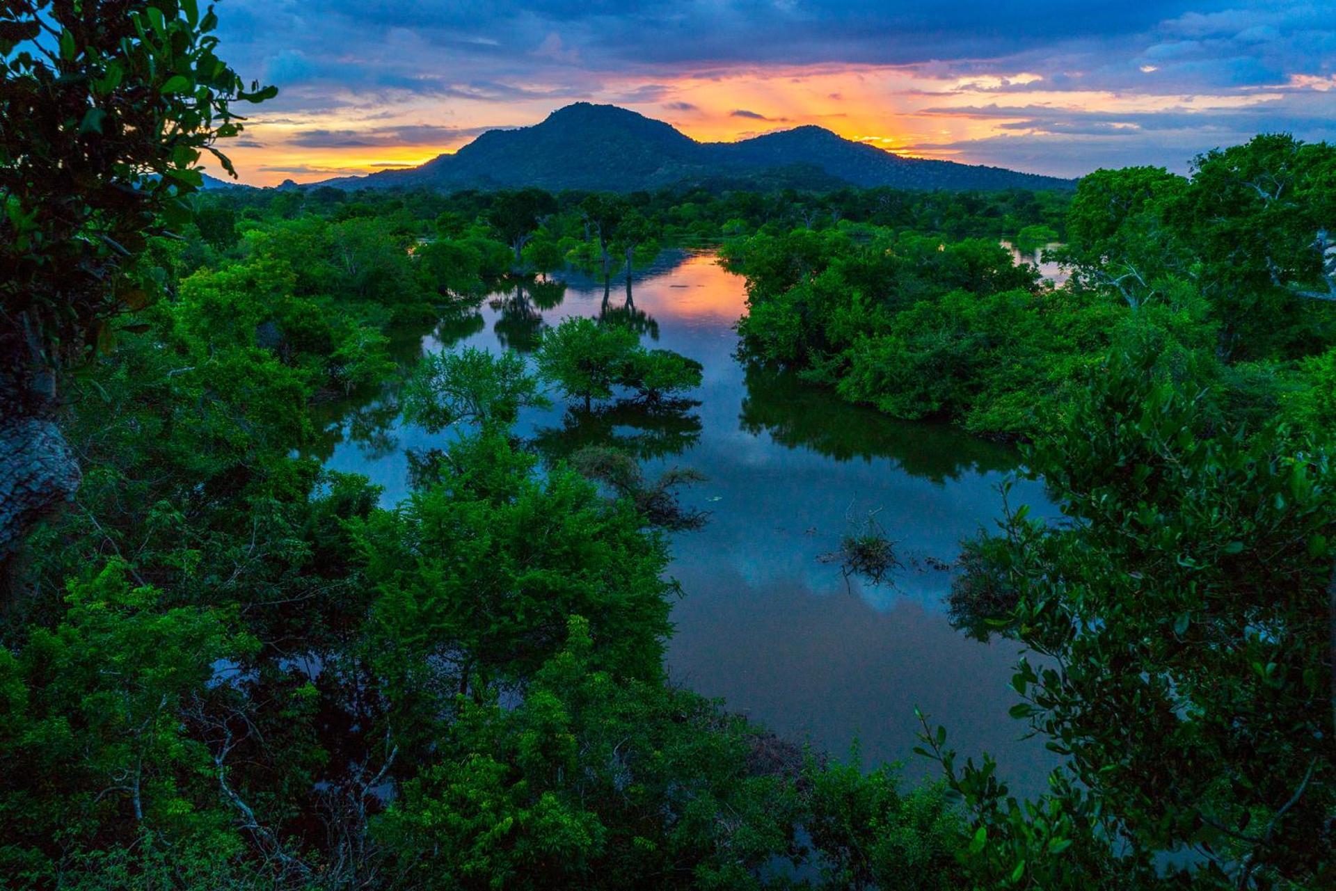 Kulu Safaris Hotell Yala Exteriör bild