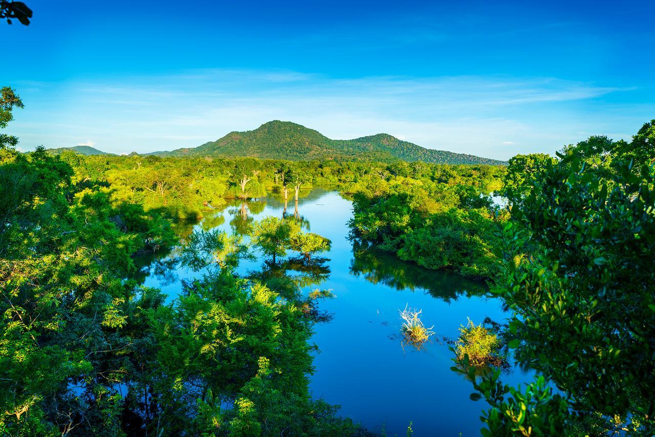 Kulu Safaris Hotell Yala Exteriör bild