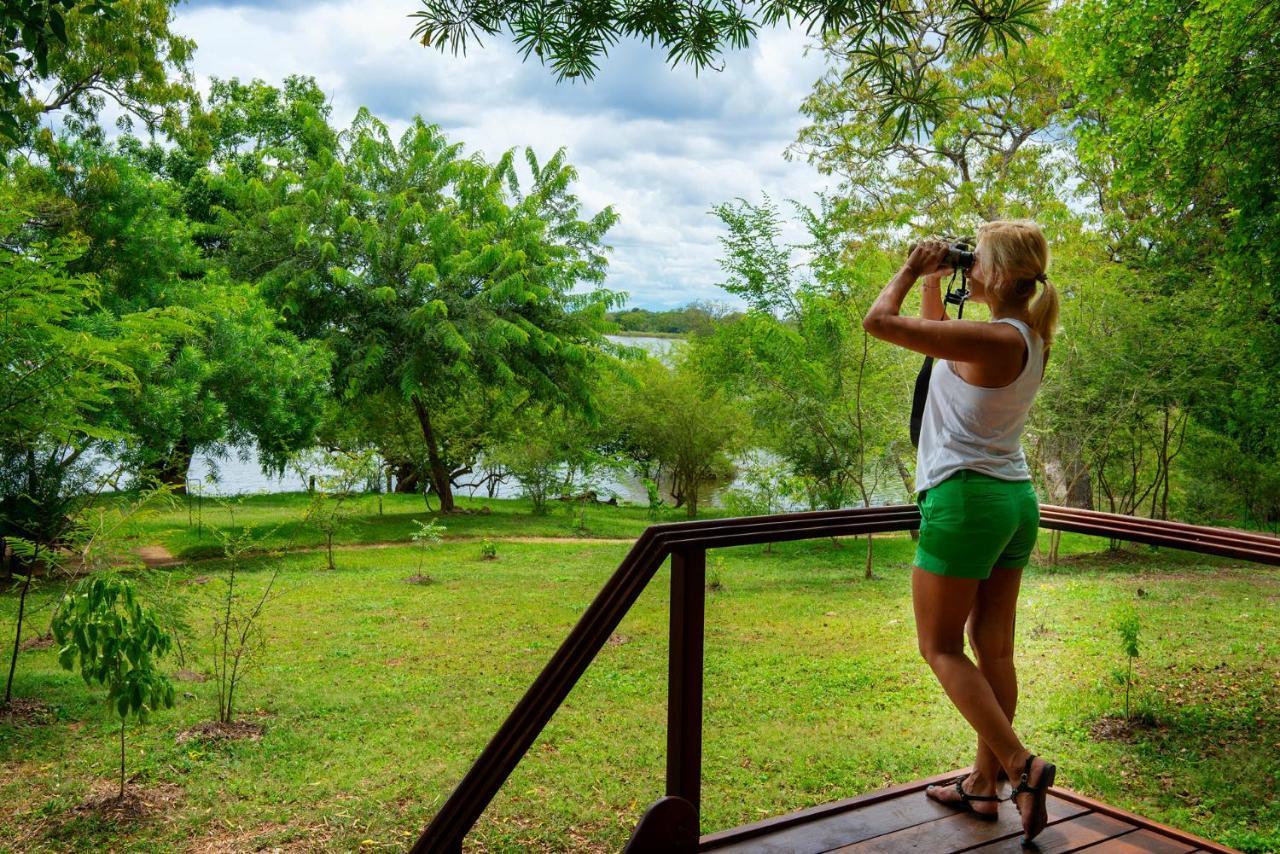 Kulu Safaris Hotell Yala Exteriör bild